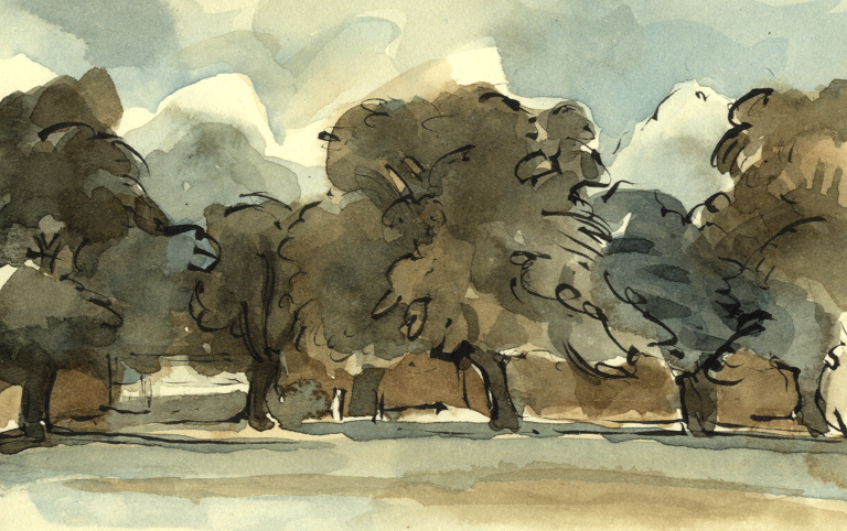 Trees by the Green